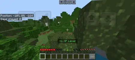 XP PER MINUTE Addon pic 2