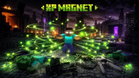 XP Magnet Addon pic 1