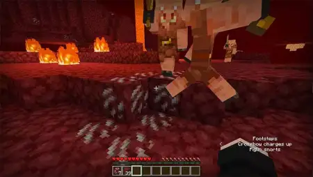 You Get Every Block You Look At Addon pic 2