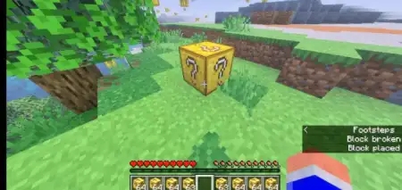 Random Lucky Blocks Addon pic 4