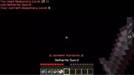 Leveling Addon pic 3