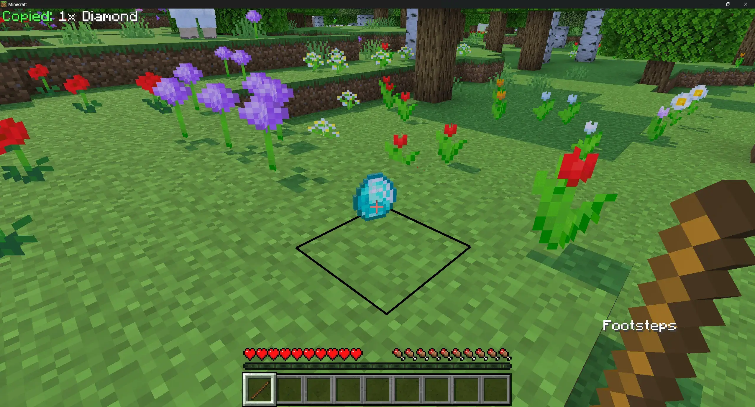 Copy & Paste Addon pic 5