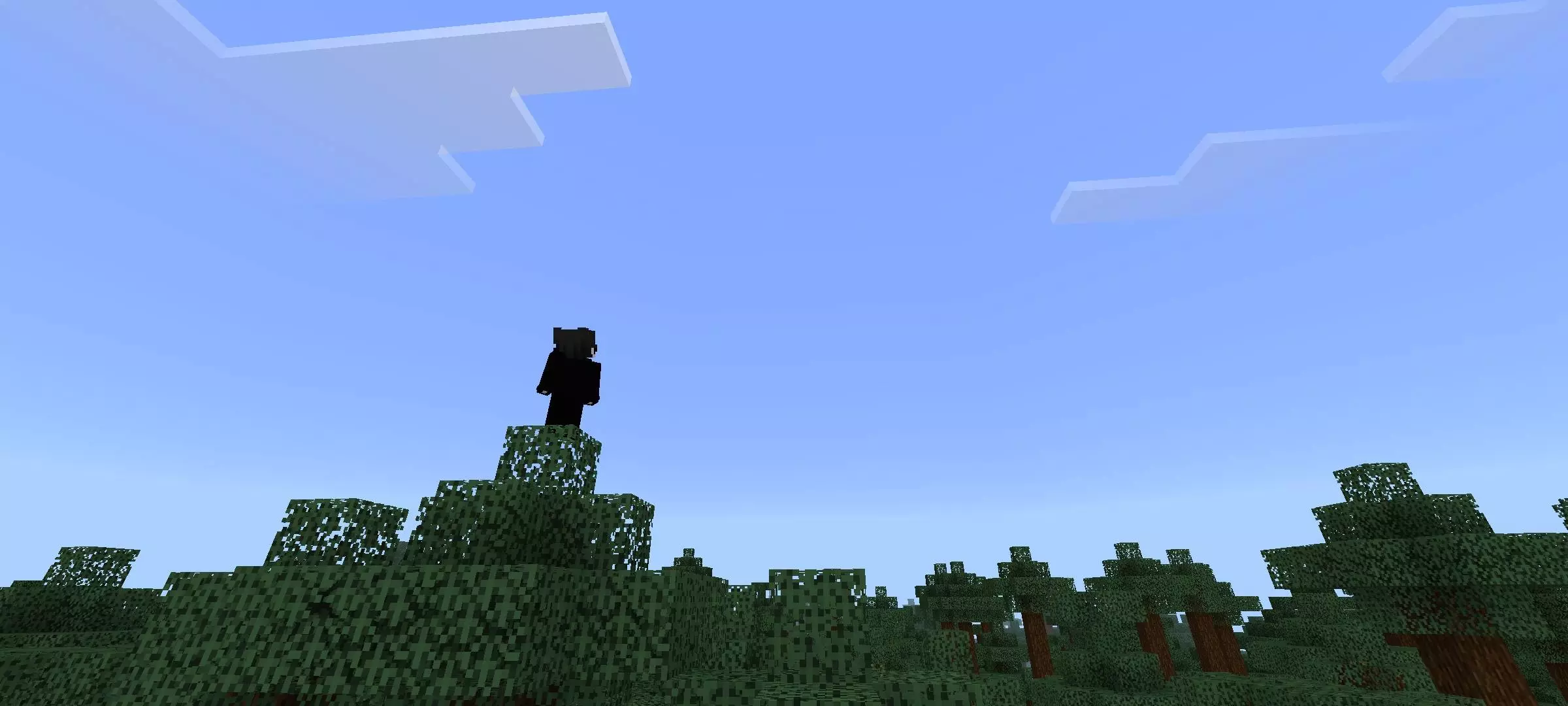 Free Cam Addon pic 8