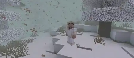 Day Zov Core Addon pic 5