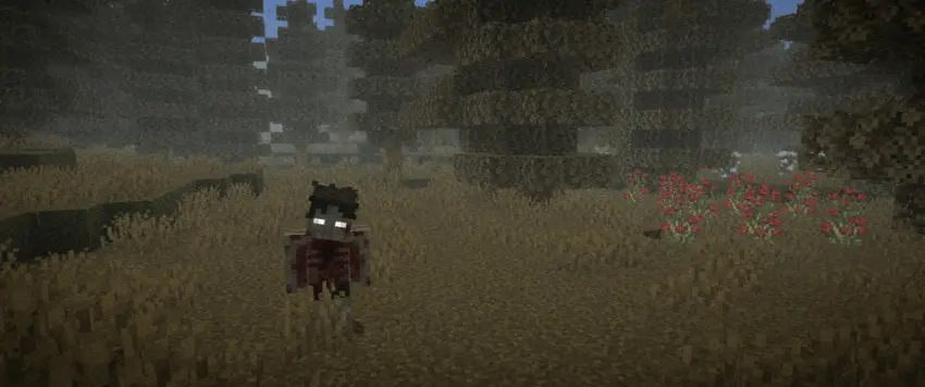 Day Zov Core Addon pic 7