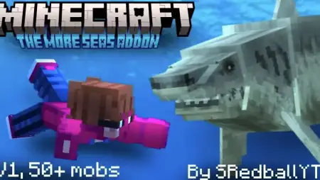 The More Seas Addon pic 1