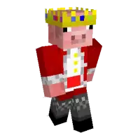 Technoblade Youtuber Skin pic 2