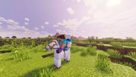 Two Players On Horse Addon pic 2
