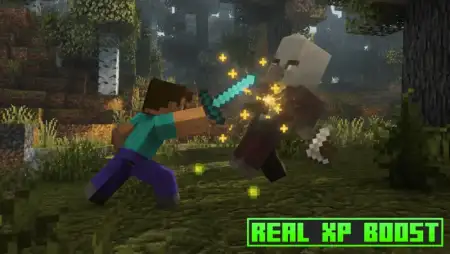 Real XP Boost Addon pic 1
