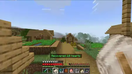 Field Medicine | Bandages & First Aid Kits Addon pic 2