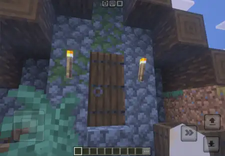 Auto-Close Doors Addon pic 2