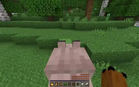 Giant Wolves Addon pic 3