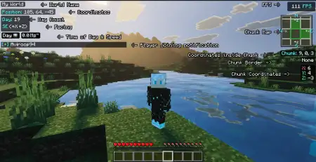 Debug Screen Pro Addon pic 4