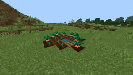 ChocoCraft Reworked  CHOCOBOS  Addon pic 2
