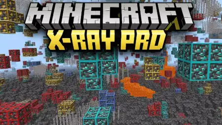 X-Ray Pro Addon pic 1