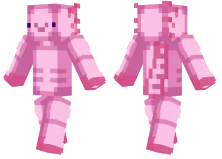 Axolotl Skin pic 1