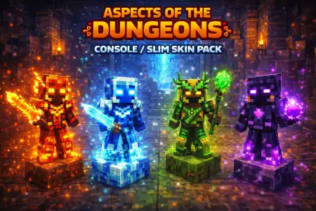 Aspects of the Dungeons Console / Slim Skin Pack