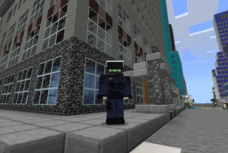 SWAT Skin Pack pic 3