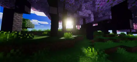 Realism Visuals – Shader pic 3