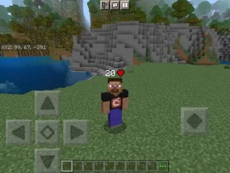 Steve & Herobrine Skinpack pic 5