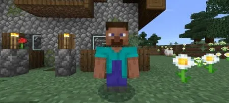 Bigger and Smaller Skinpack pic 3
