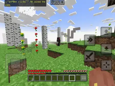 Forgotten By Mojang Mod / Addon pic 4