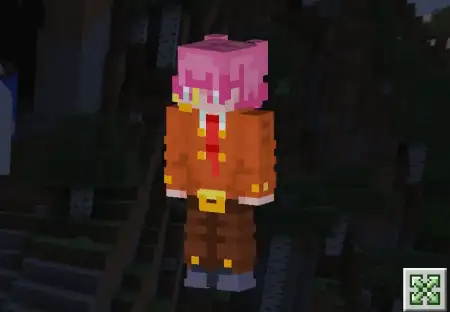 AnimeLand Skin Pack pic 2