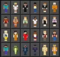 Ultimate Skin Vault