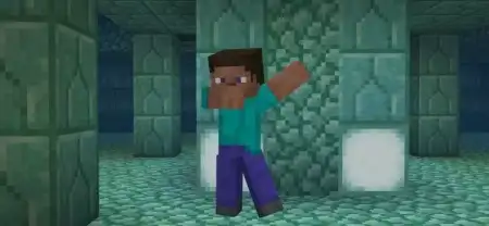 More Steve's Skinpack pic 4