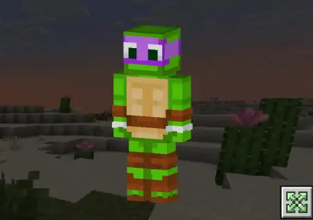 TurtleLand Skin Pack pic 6