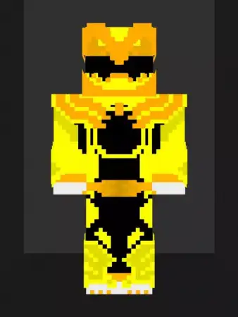 No. 1 Sentai Gozyuger Skin Pack pic 4