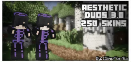 Aesthetic Duos Skin Pack pic 1