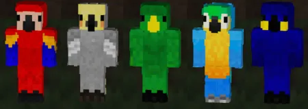 Parrot Skinpack pic 2