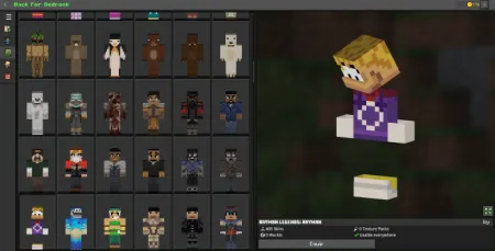 Back For Bedrock Skins Pack pic 4