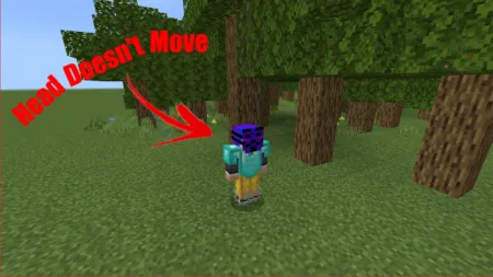 Hacked Skin Pack pic 5