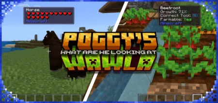 Poggys Whats That Tooltip Addon pic 1