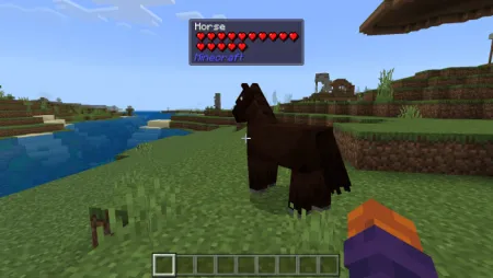 Poggys Whats That Tooltip Addon pic 3