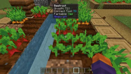 Poggys Whats That Tooltip Addon pic 4