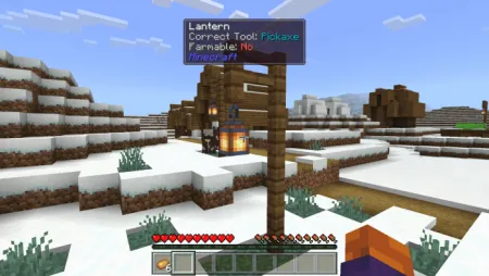 Poggys Whats That Tooltip Addon pic 5